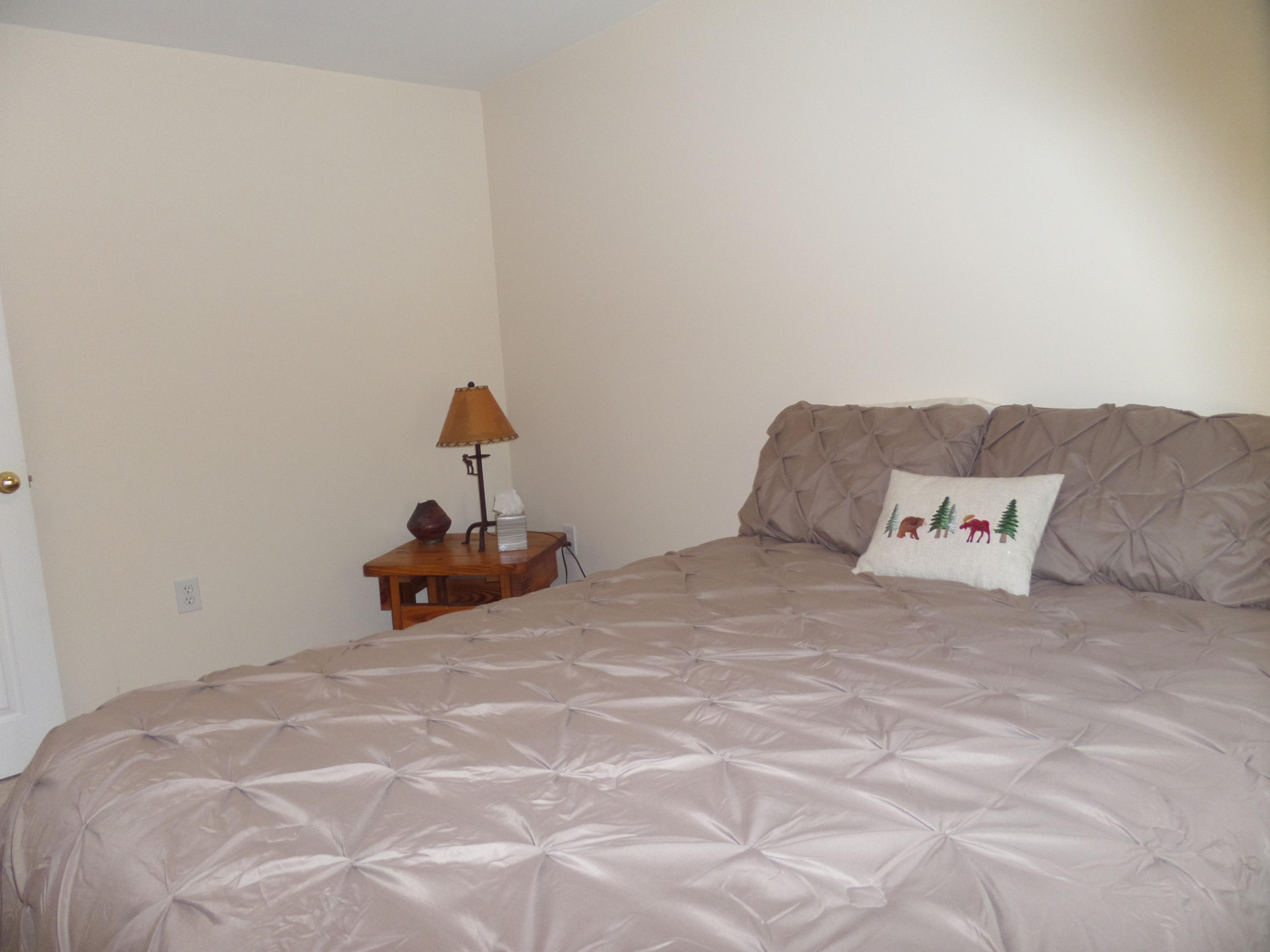 2 East Pondicherry Road Bridgton, ME 04009 - Photo 32 of 52 SAM_6767