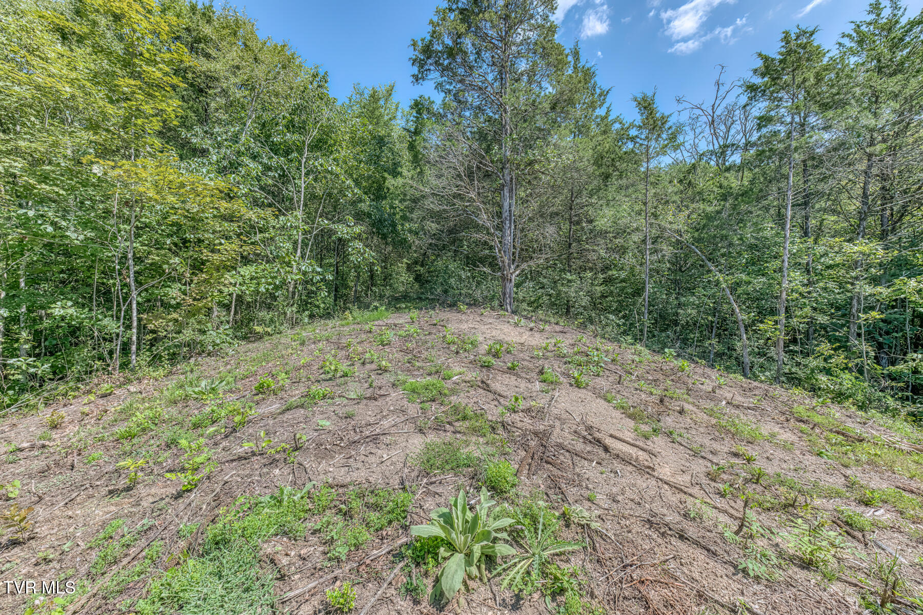 0 Old Cemetery Road Greeneville, TN 37745 - Photo 28 of 37 280 Old Cemetery Rd-28