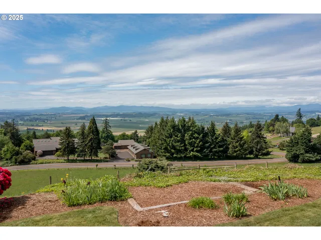 a view of a pathway both side of grassy field with shrub