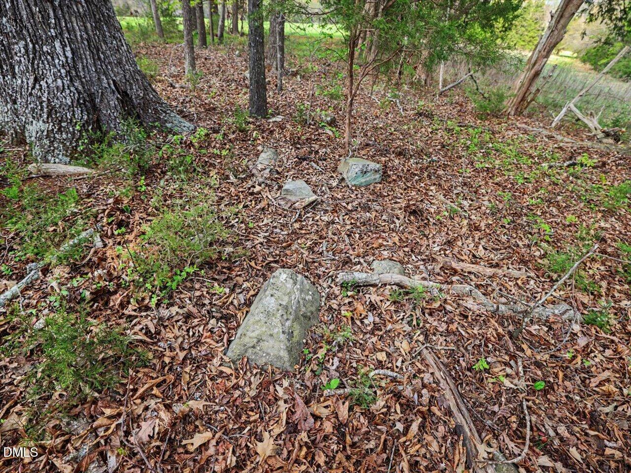 7793 Ridgeville Road Leasburg, NC 27291 - Photo 82 of 91