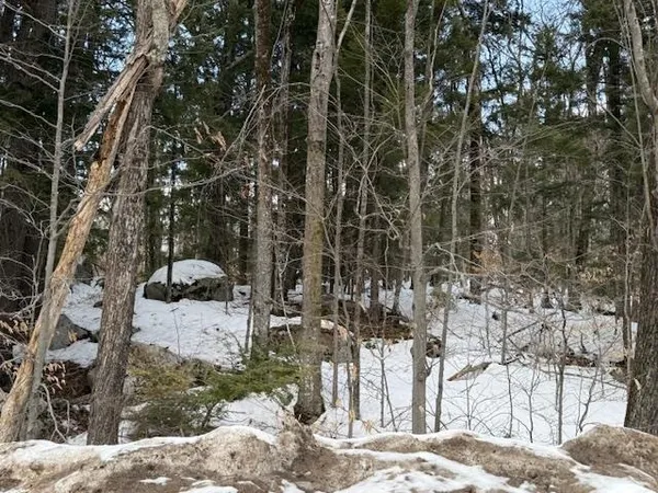 $165,000 | 103 Route 16 Albany Nh 03818, Albany, NH 03818