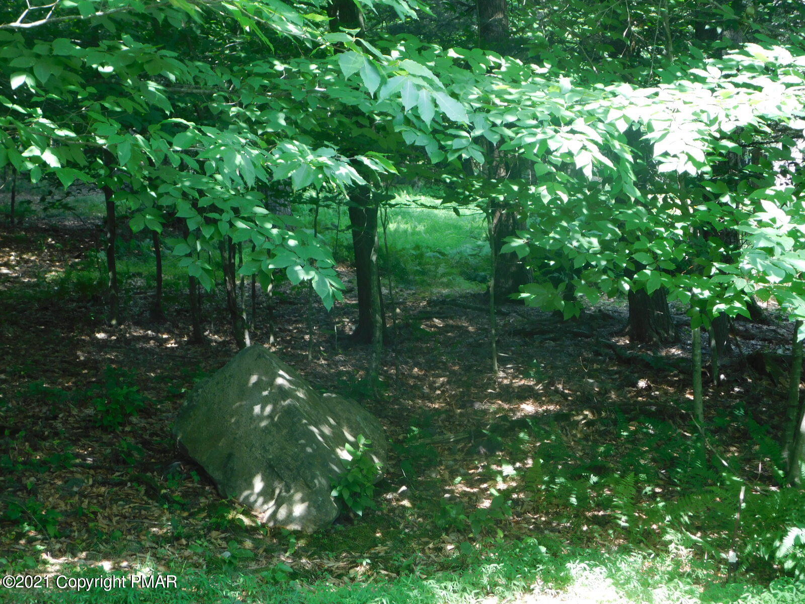 11 Trail Ridge Road Albrightsville, PA 18210 - Photo 24 of 25 LOT TO RIGHT