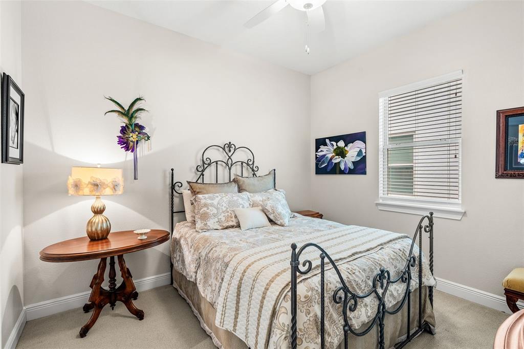 17520 Black Rail Street Windermere, FL 34786 - Photo 22 of 34