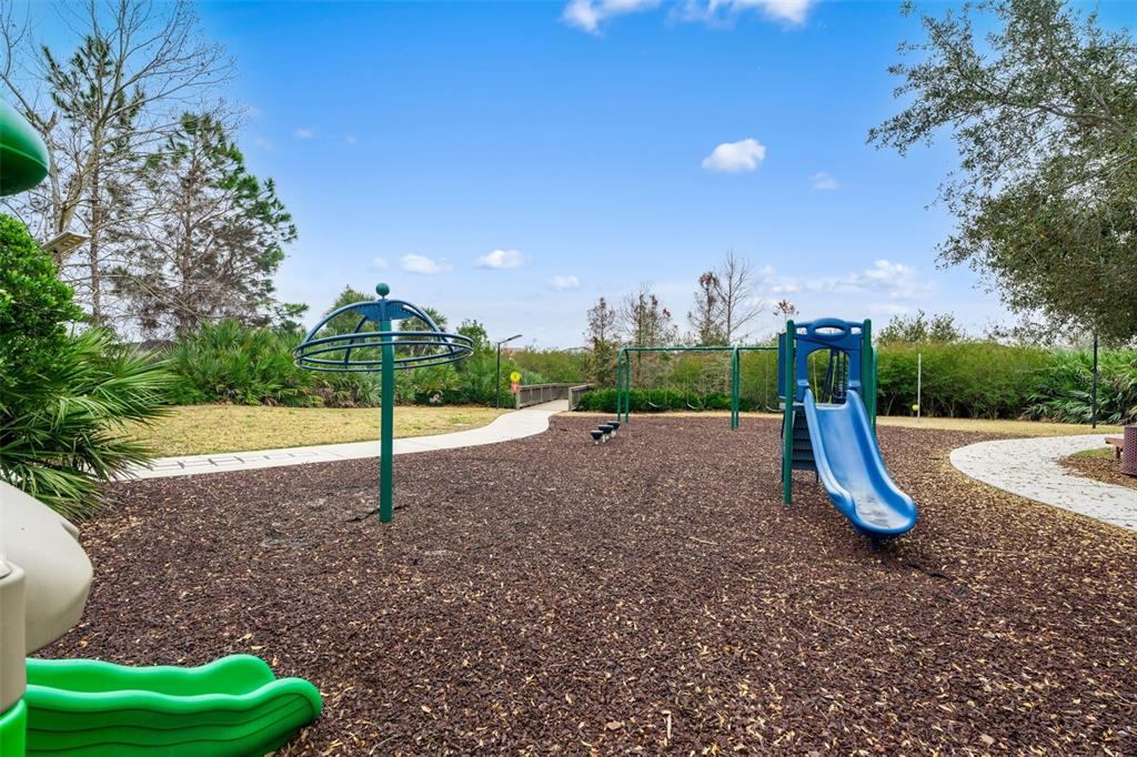 17520 Black Rail Street Windermere, FL 34786 - Photo 32 of 34