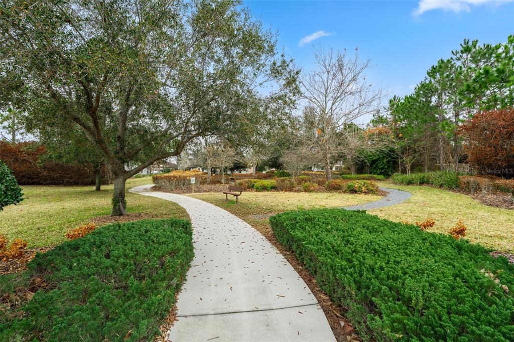 17520 Black Rail Street Windermere, FL 34786 - Photo 33 of 34