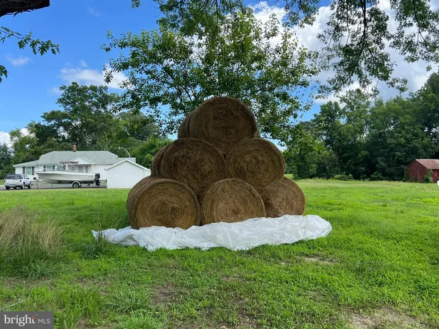 a view of road and grass