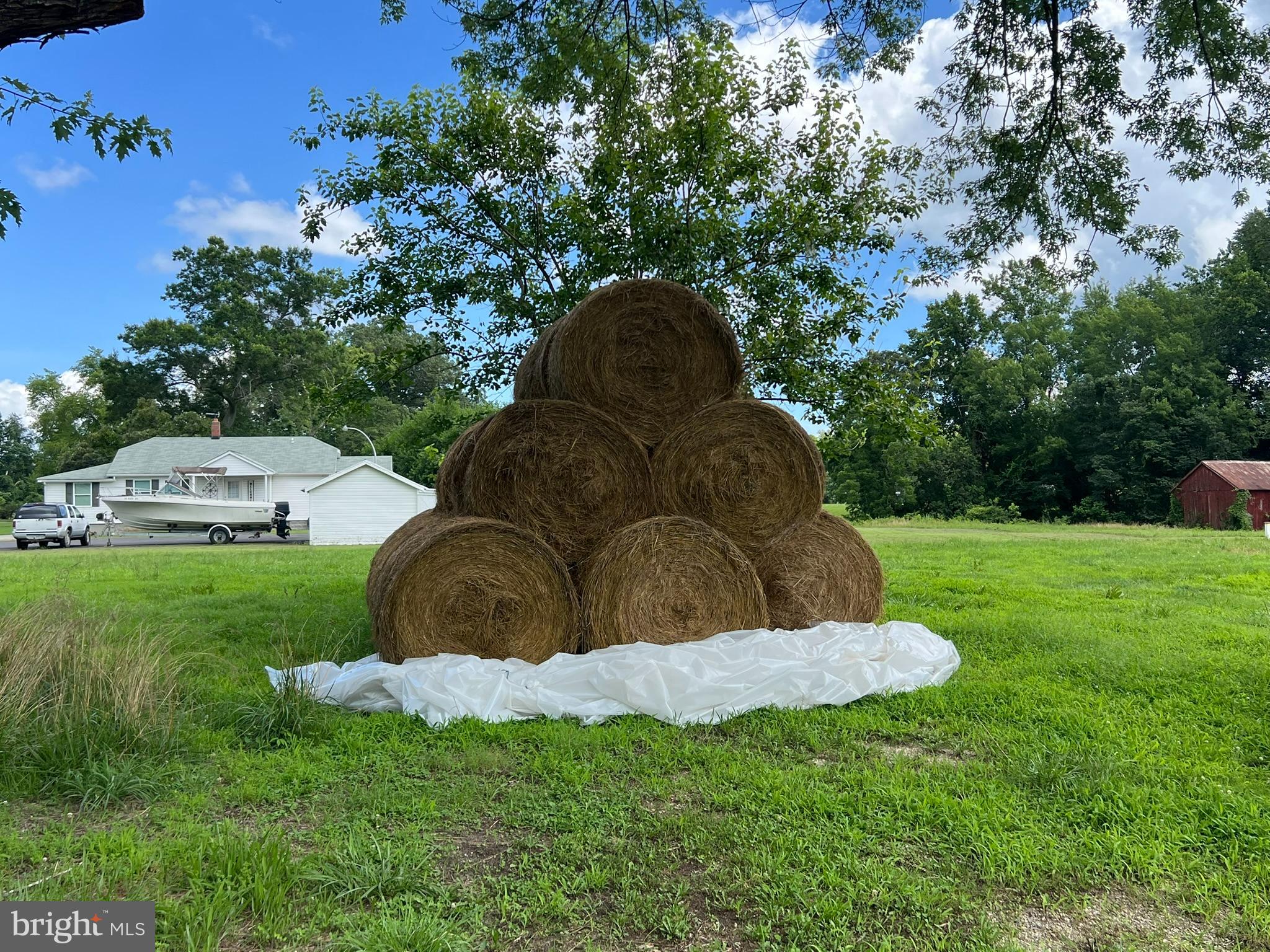 17507 Magruders Ferry Road Brandywine, MD 20613 - Photo 6 of 14 a view of a back yard