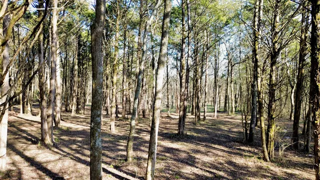 $825,000 | 8649 Taliaferro Road, Eagleville, TN 37060