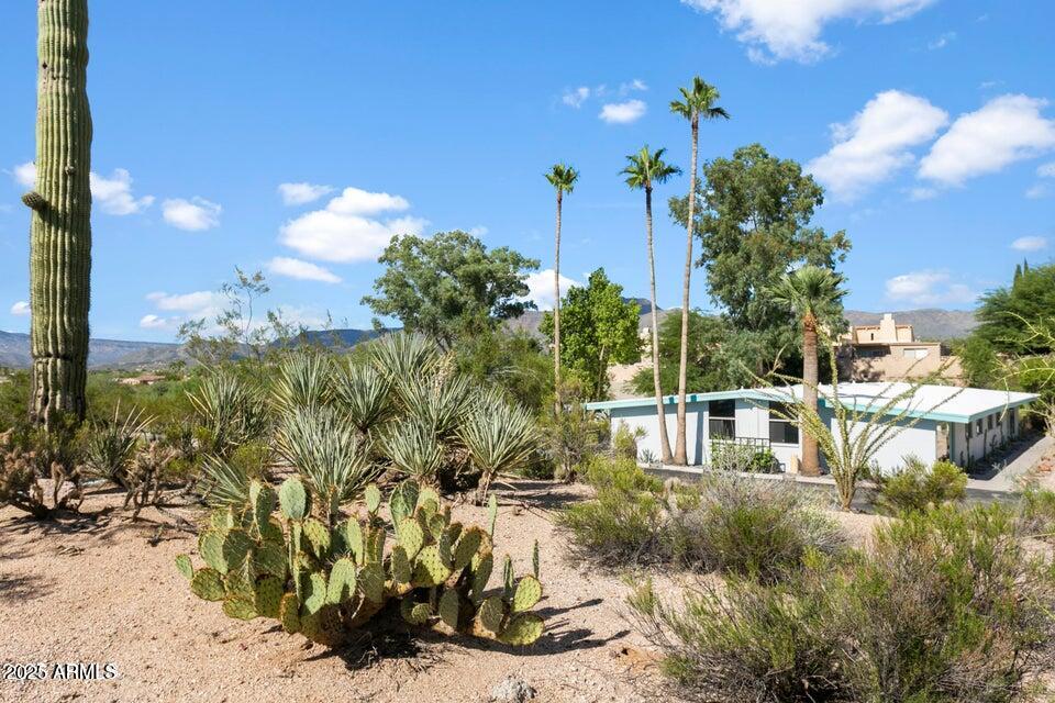 7440 East Cave Creek Road, Unit 6 Carefree, AZ 85377 - Photo 10 of 46 a view of houses with yard