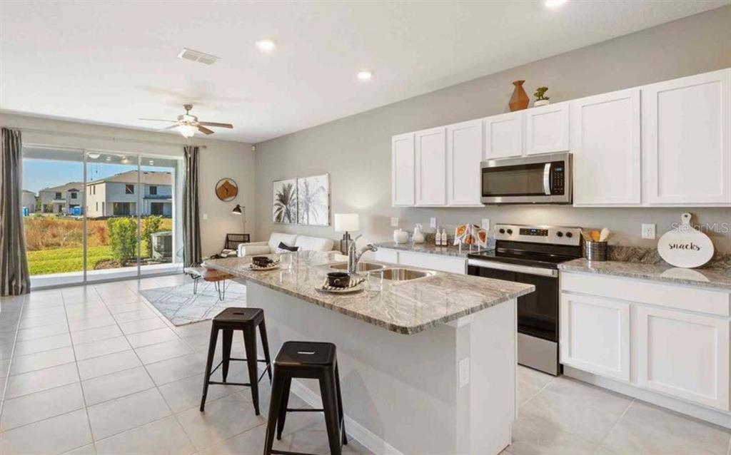 32202 Turtle Grace Loop Wesley Chapel, FL 33545 - Photo 3 of 13