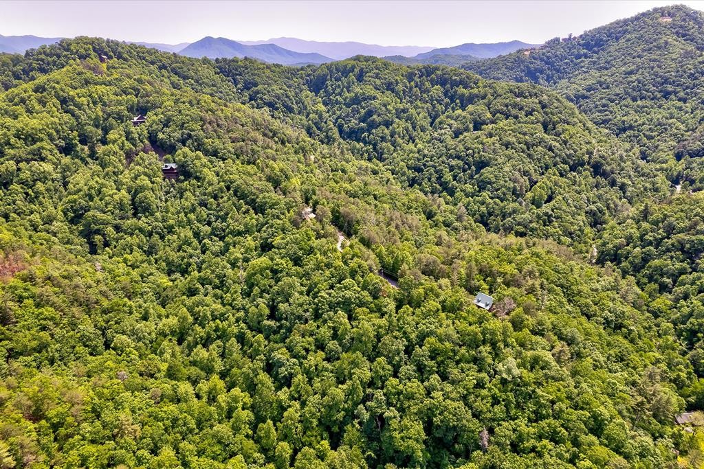 14 Clearview Road Sevierville, TN 37862 - Photo 20 of 27 Gallery Image 20