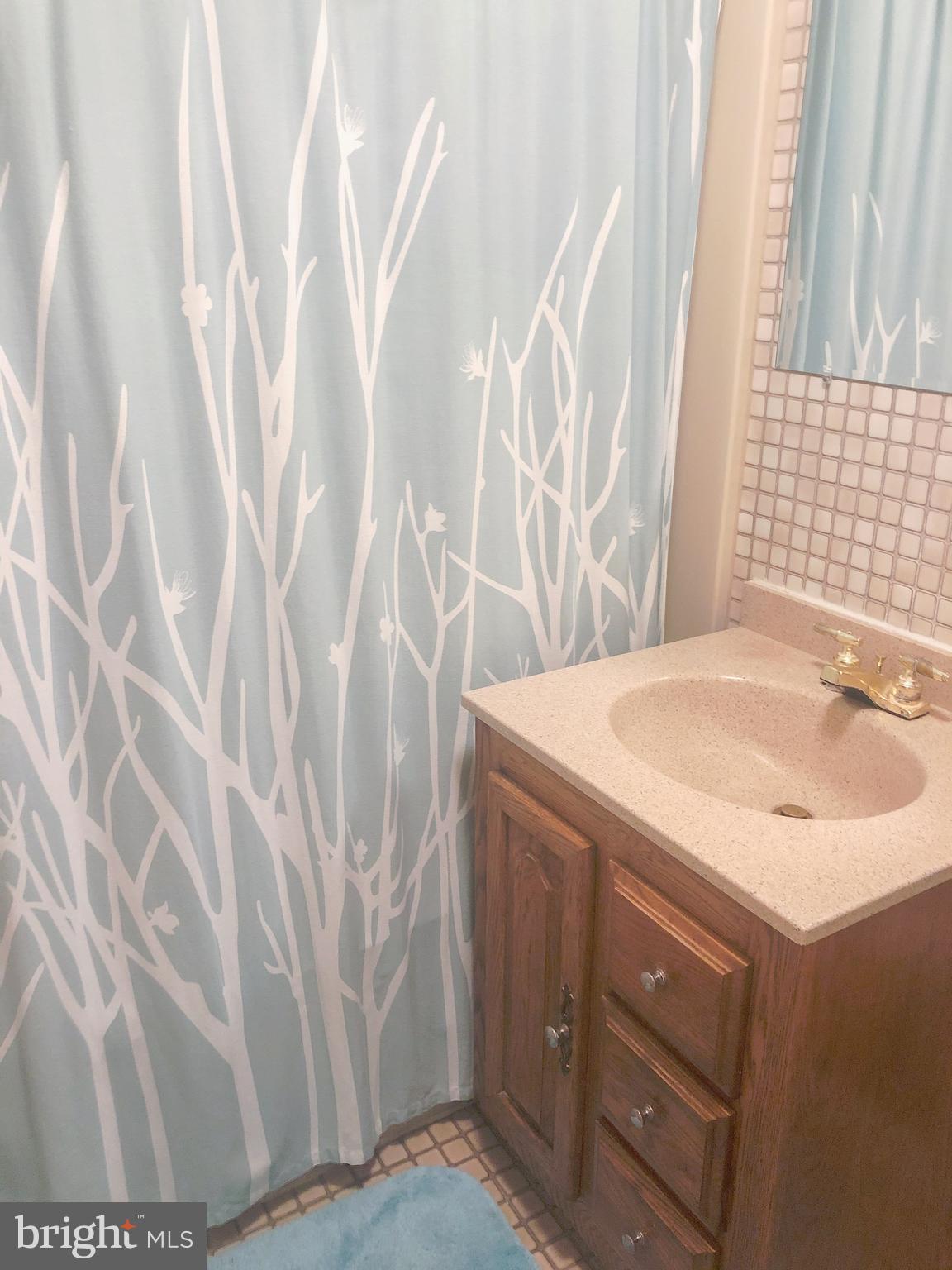 1450 Kent Road Baltimore, MD 21221 - Photo 26 of 55 Primary Bath