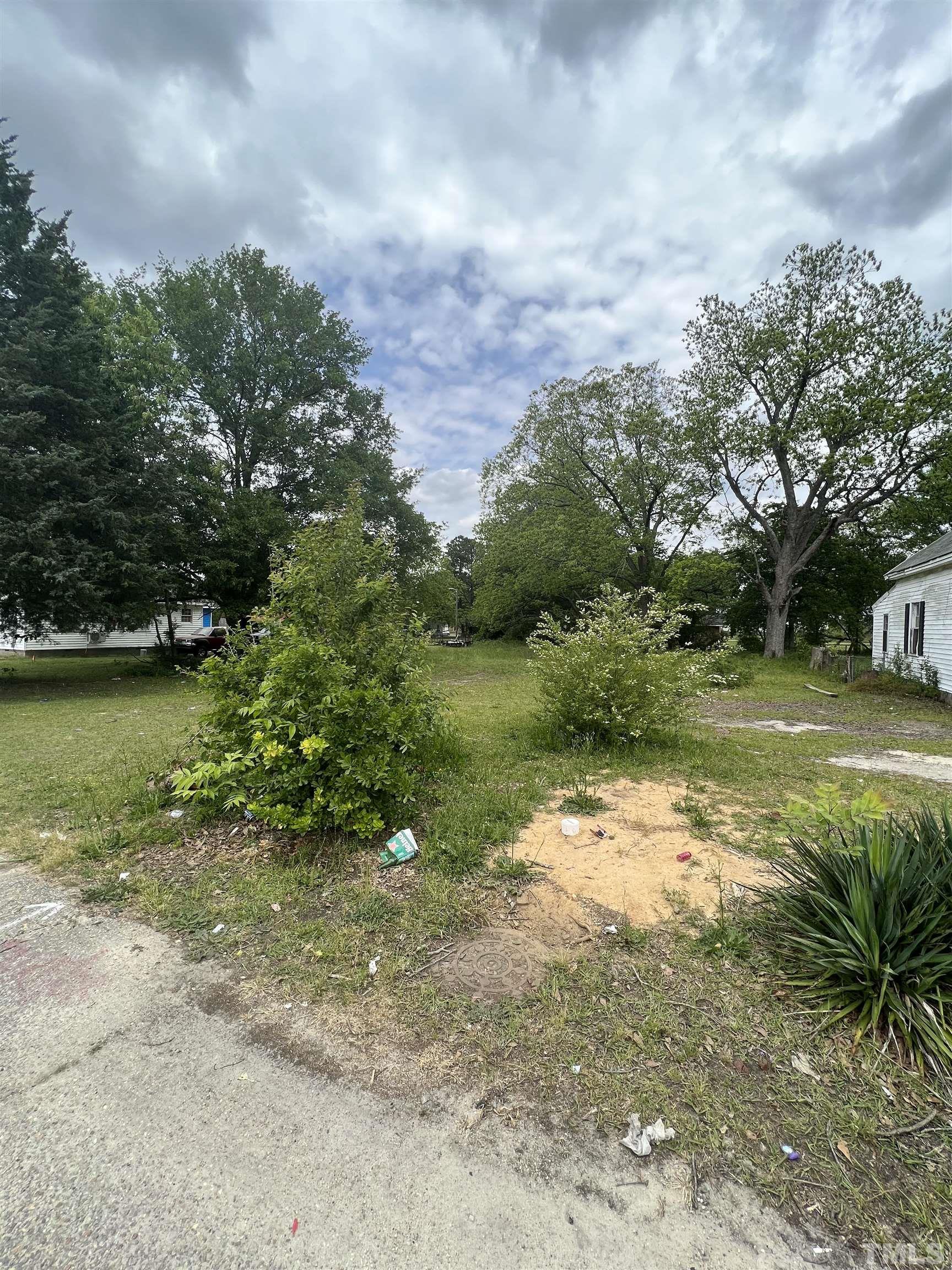 1021 East Edgerton Street Dunn, NC 28334 - Photo 2 of 5 a view of a yard with a tree