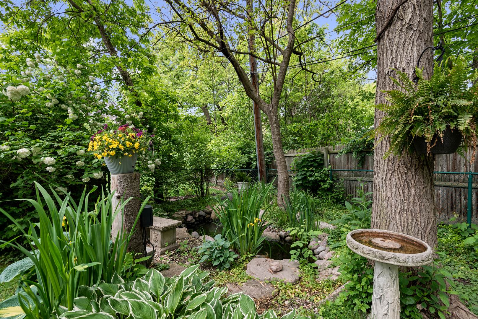 2951 Colfax Street Evanston, IL 60201 - Photo 55 of 62 a view of a garden with plants