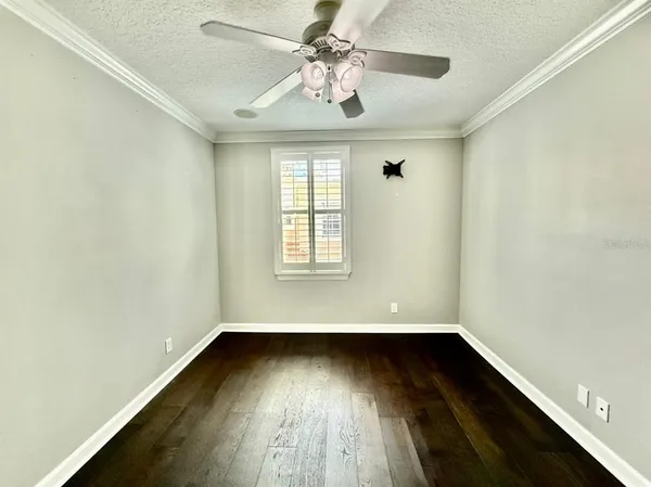 $3,550 | 505 South Tampania Avenue, Unit 5, Tampa, FL 33609