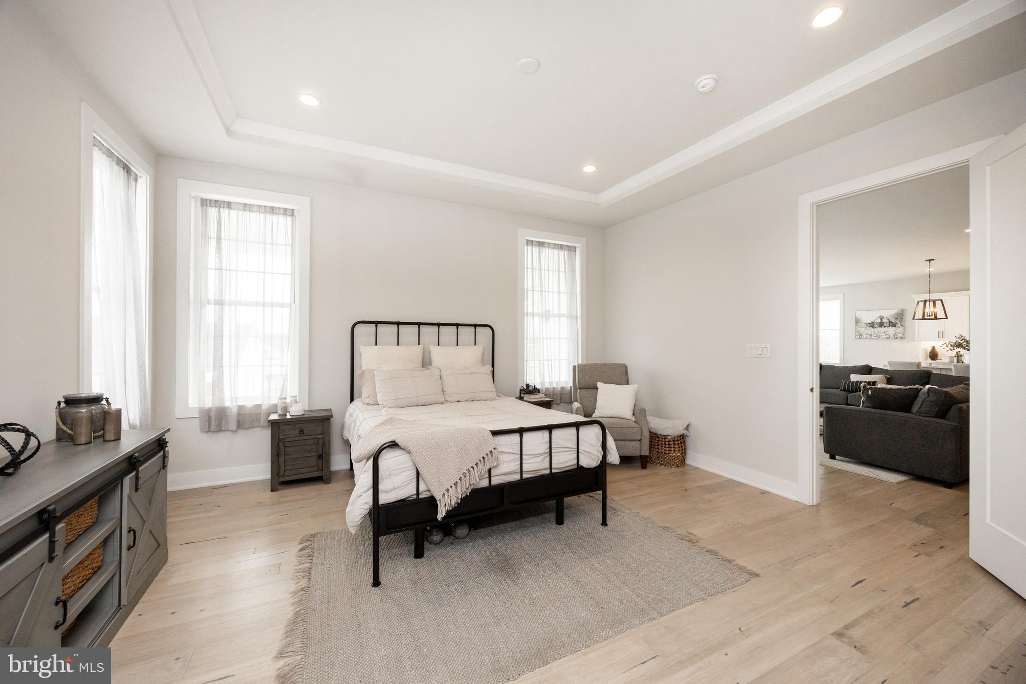 609 Metal Street Phoenixville, PA 19460 - Photo 25 of 42 Recessed Lights and Tray Ceiling