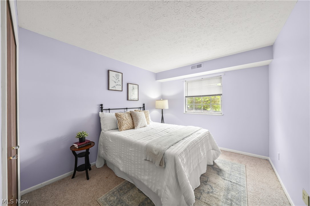 10790 Ravenna Road, Unit 101 Twinsburg, OH 44087 - Photo 16 of 27