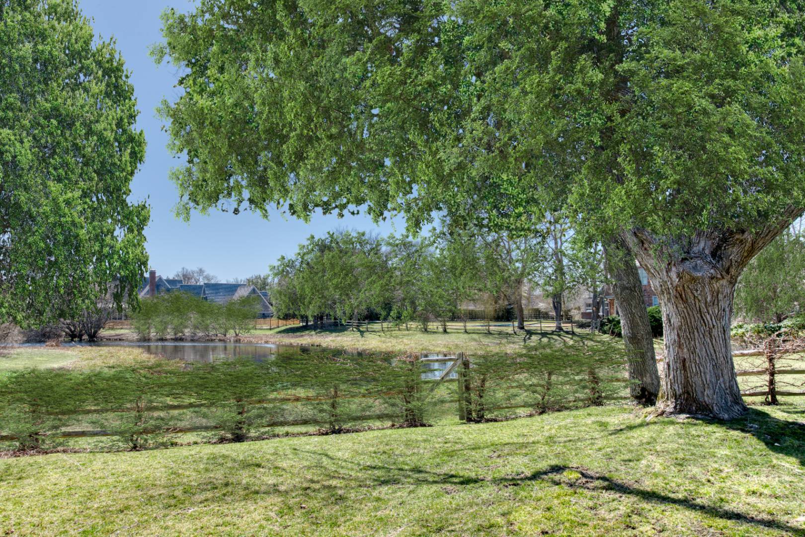 181 Parsonage Pond Road Sagaponack, NY 11962 - Photo 7 of 25 a view of a garden with a tree