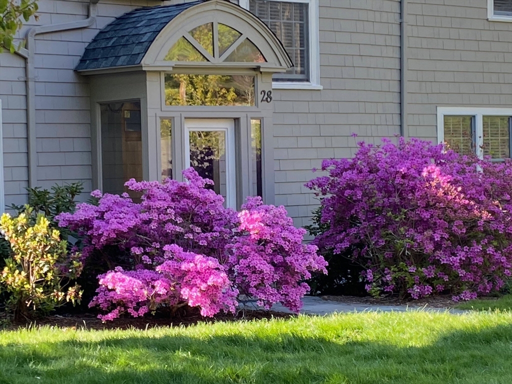 28 Bancroft Road Wellesley, MA 02481 - Photo 3 of 42 a front view of house with yard and flowers