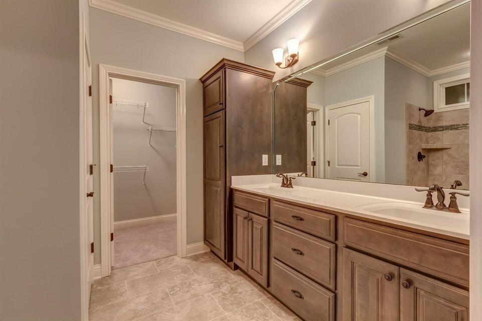 Magnolia 6