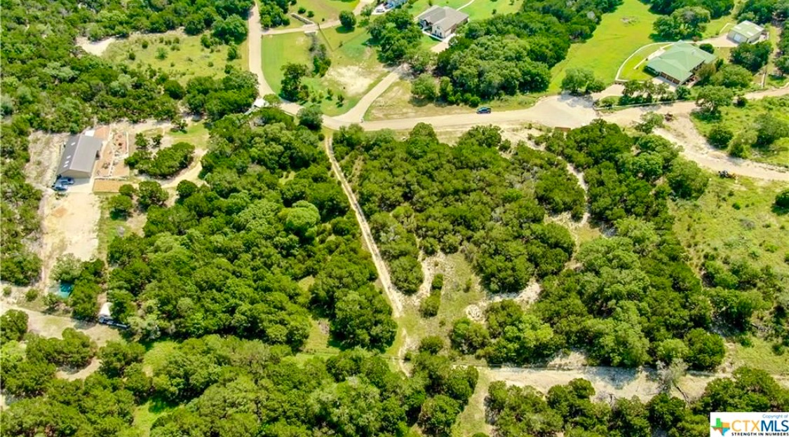 1337 Windy Hill Road Salado, TX 76571 - Photo 5 of 7 Bird's eye view of a heavily wooded area