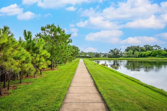 a view of a lake with a garden