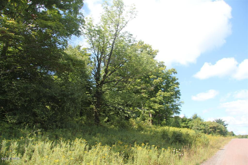 Skinner Road Honesdale, PA 18431 - Photo 6 of 10