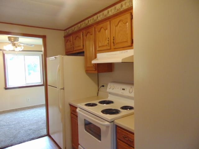 4575 South Magruder Road Breckenridge, MI 48615 - Photo 11 of 57 Gallery Image 11