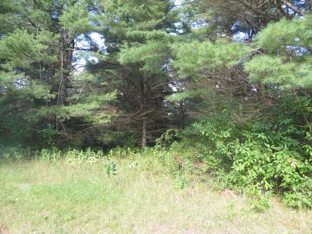 On Helmar Road Minocqua, WI 54548 - Photo 11 of 13 Gallery Image 11
