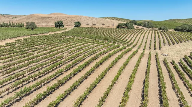 $4,250,000 | 1285 Henry Road, Napa, CA 94559