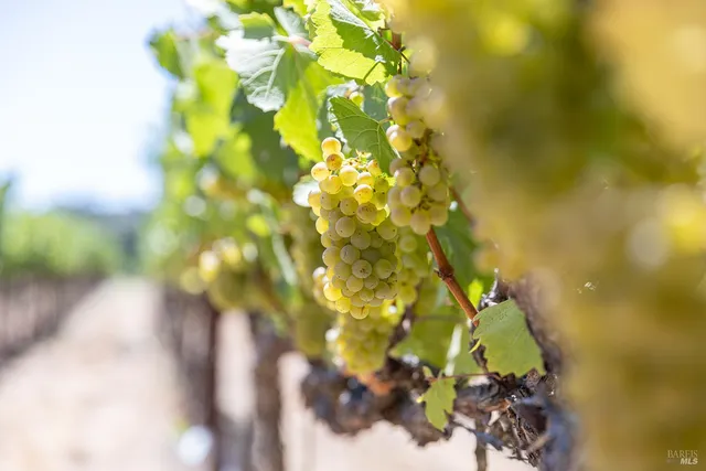 $4,250,000 | 1285 Henry Road, Napa, CA 94559