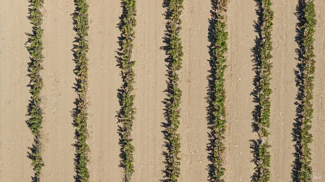 $4,250,000 | 1285 Henry Road, Napa, CA 94559