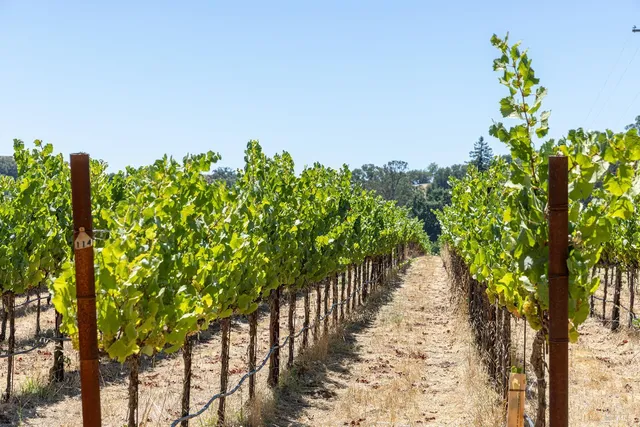 $4,250,000 | 1285 Henry Road, Napa, CA 94559