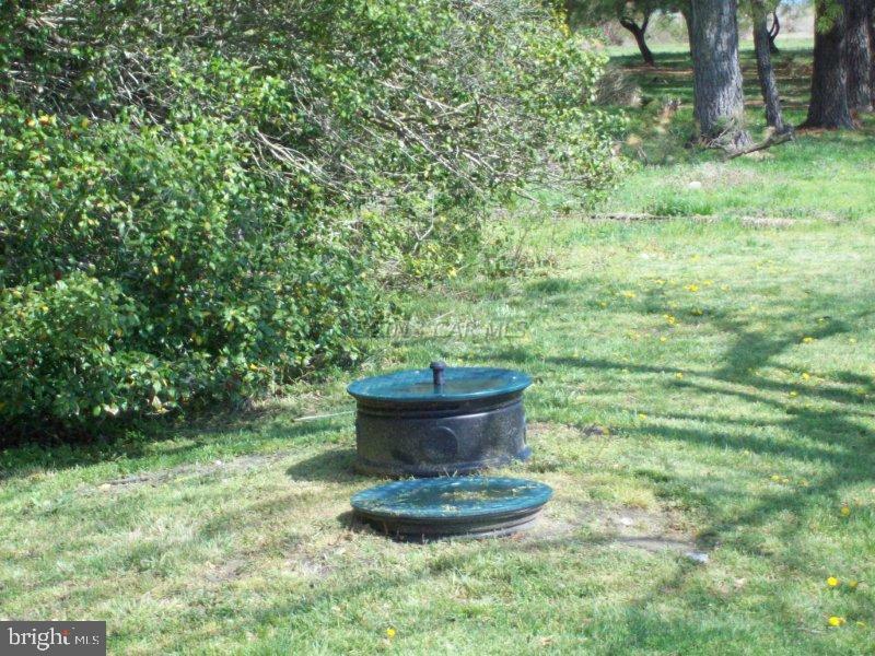 23421 Deal Island Road Deal Island, MD 21821 - Photo 14 of 14 a view of a backyard of the house
