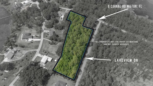 a view of a painting on the wall