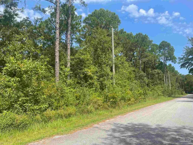 a view of outdoor space with trees