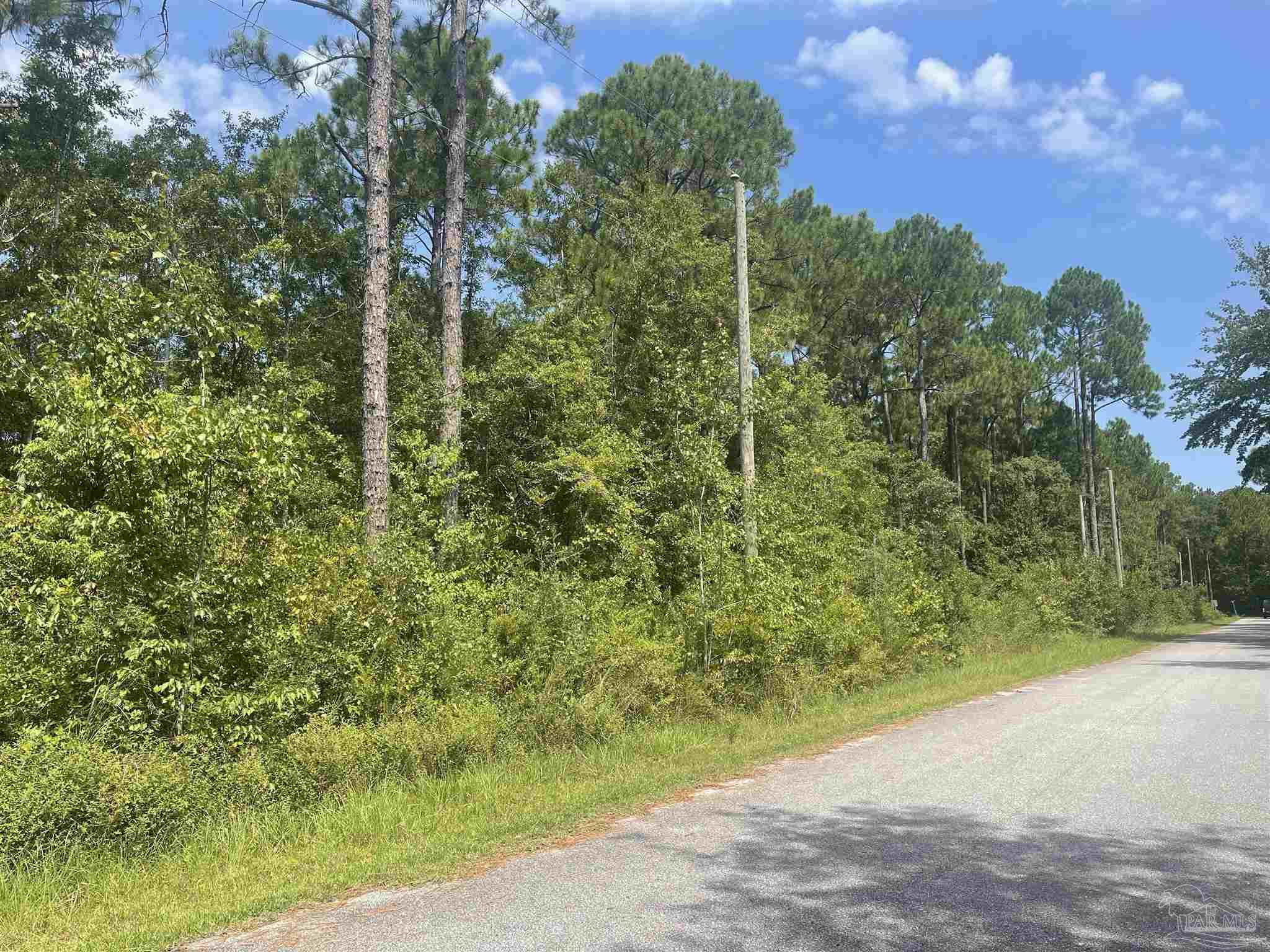 0 Corral Road Milton, FL 32583 - Photo 7 of 8 Gallery Image 7