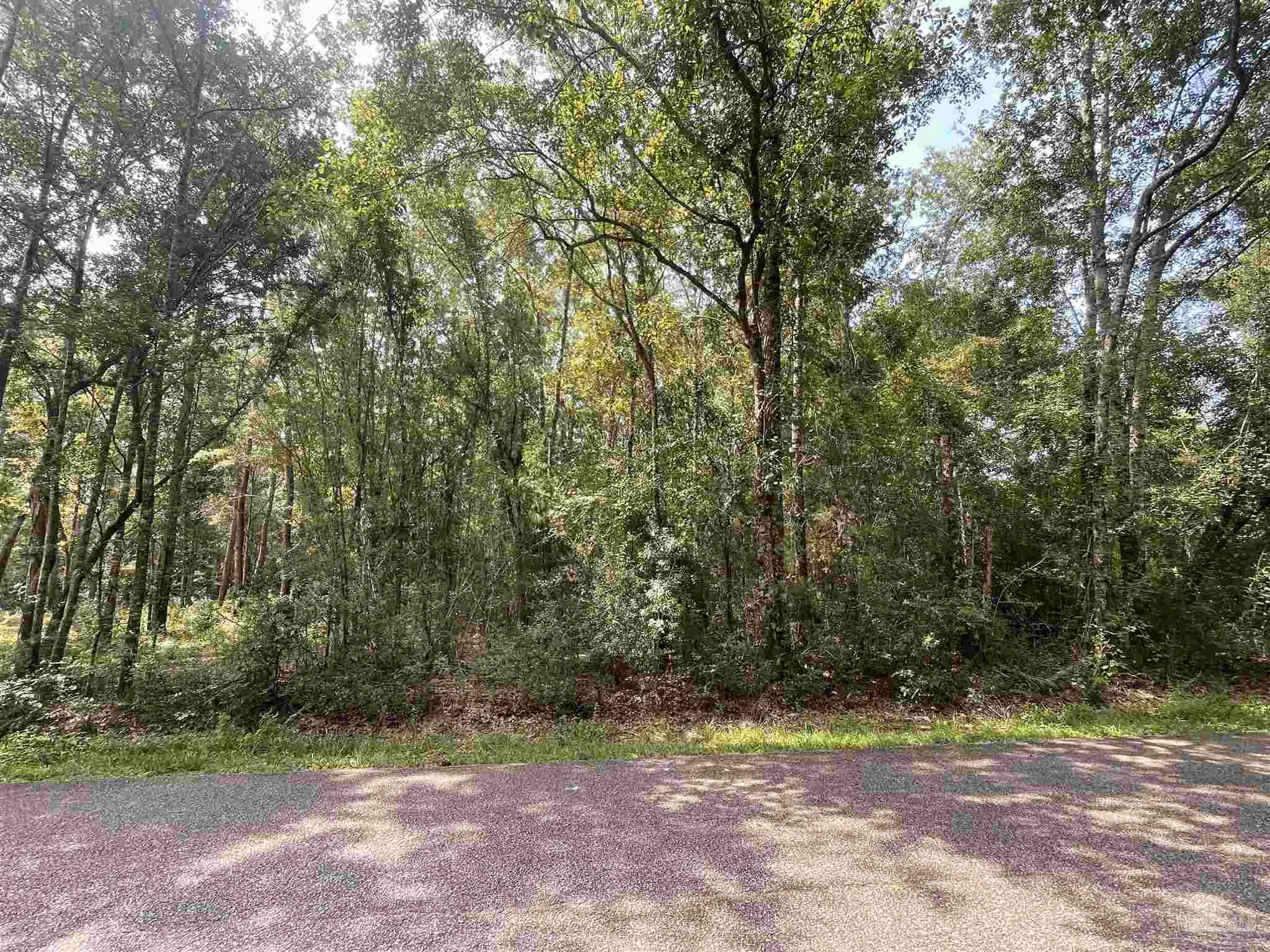 0 Corral Road Milton, FL 32583 - Photo 8 of 8 Gallery Image 8