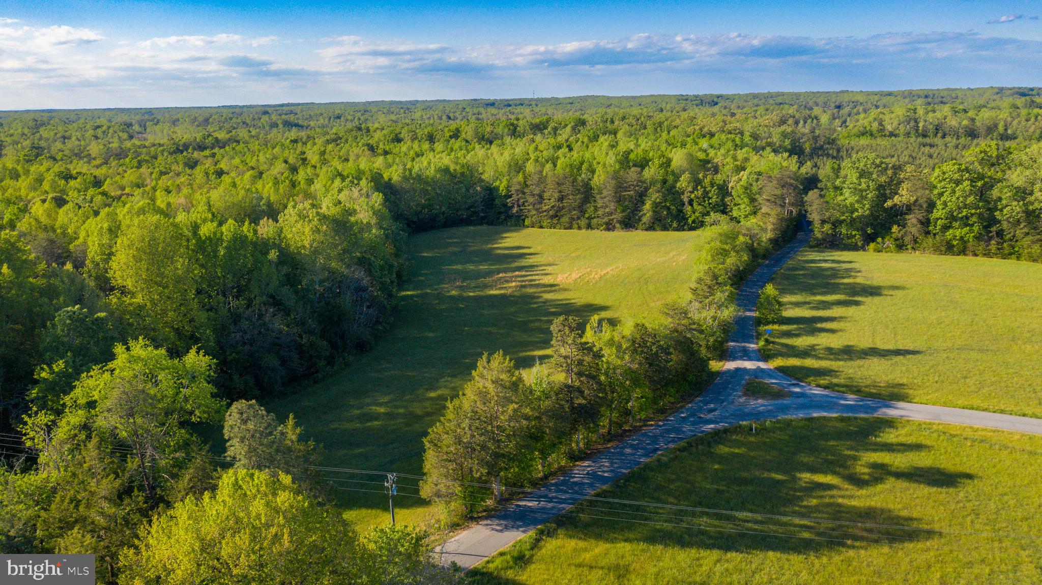 0 Trivette Road Beaverdam, VA 23015 - Photo 9 of 45