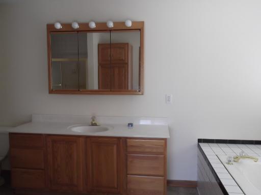 1279 Locust Road Lee, IL 60530 - Photo 13 of 14 a bathroom with a sink and a mirror