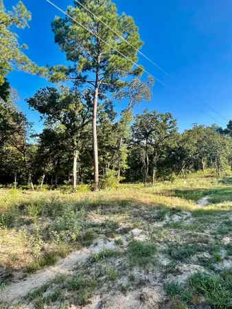 a view of a yard with a tree