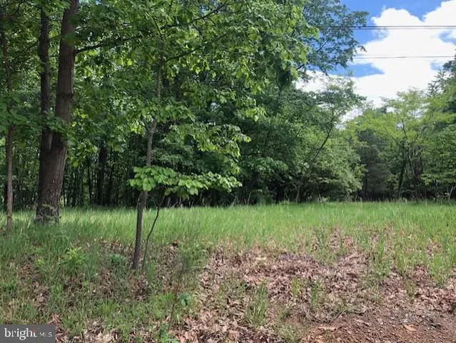 $40,000 | Lot 2 Jones Springs Road, Hedgesville, WV 25427