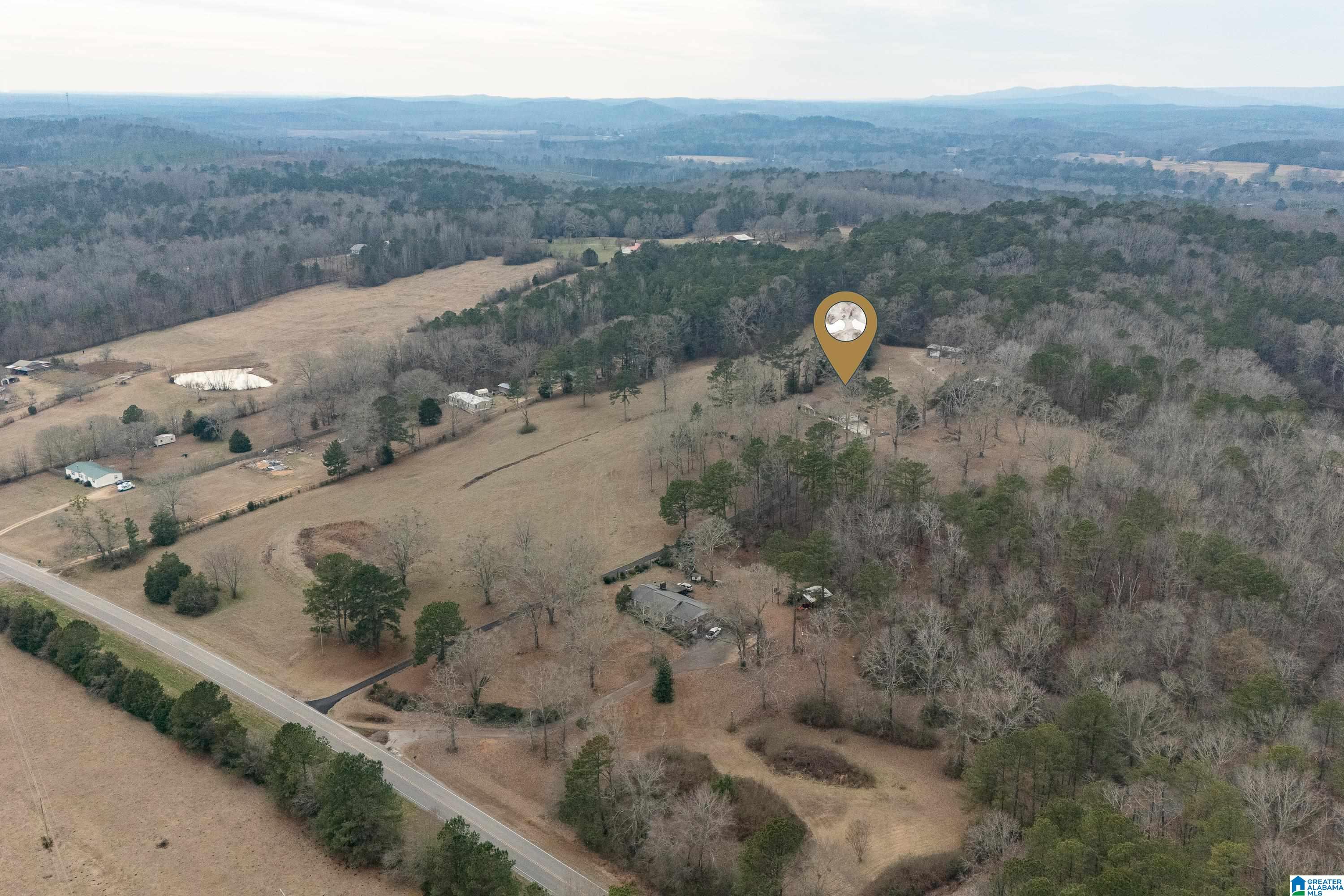 4175 Logan Martin Dam Road Cropwell, AL 35054 - Photo 38 of 47