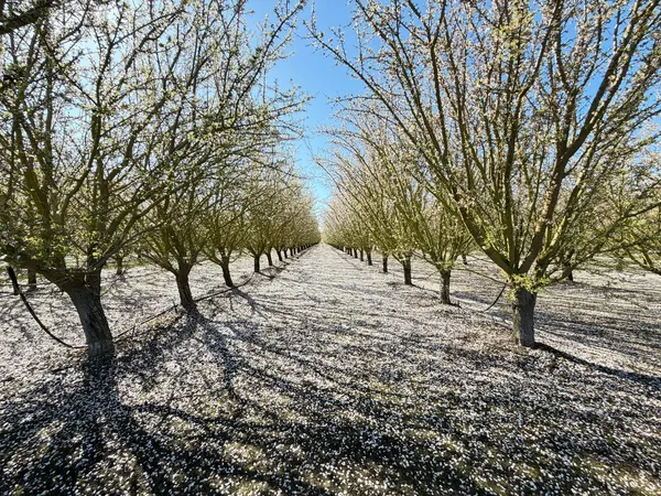 a view of snow on a field