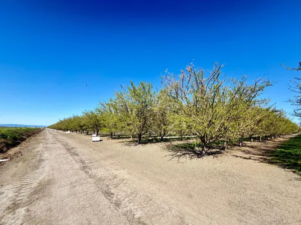 a view of a road with a yard