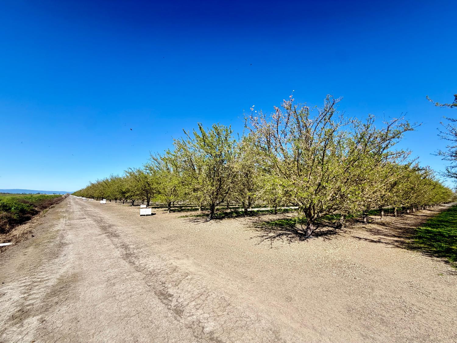 7520 West Howard Road Stockton, CA 95206 - Photo 3 of 3 a view of a road with a yard