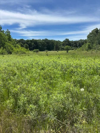 $349,900 | 0 Grapevine Avenue, Tomah, WI 54660
