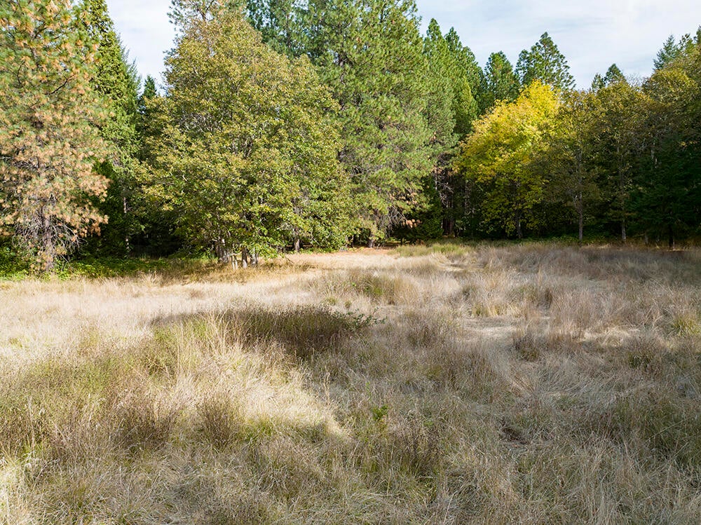7910 Deer Creek Road Selma, OR 97538 - Photo 41 of 51 39