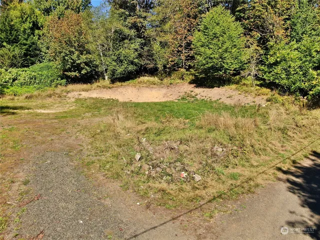 a view of mountain view with lots of trees
