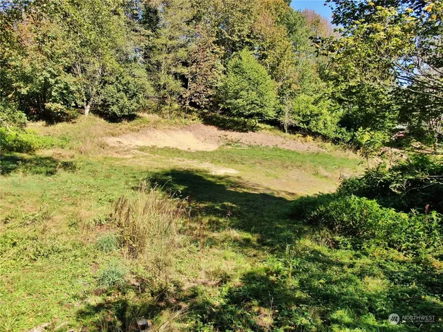 a view of a trees with a tree